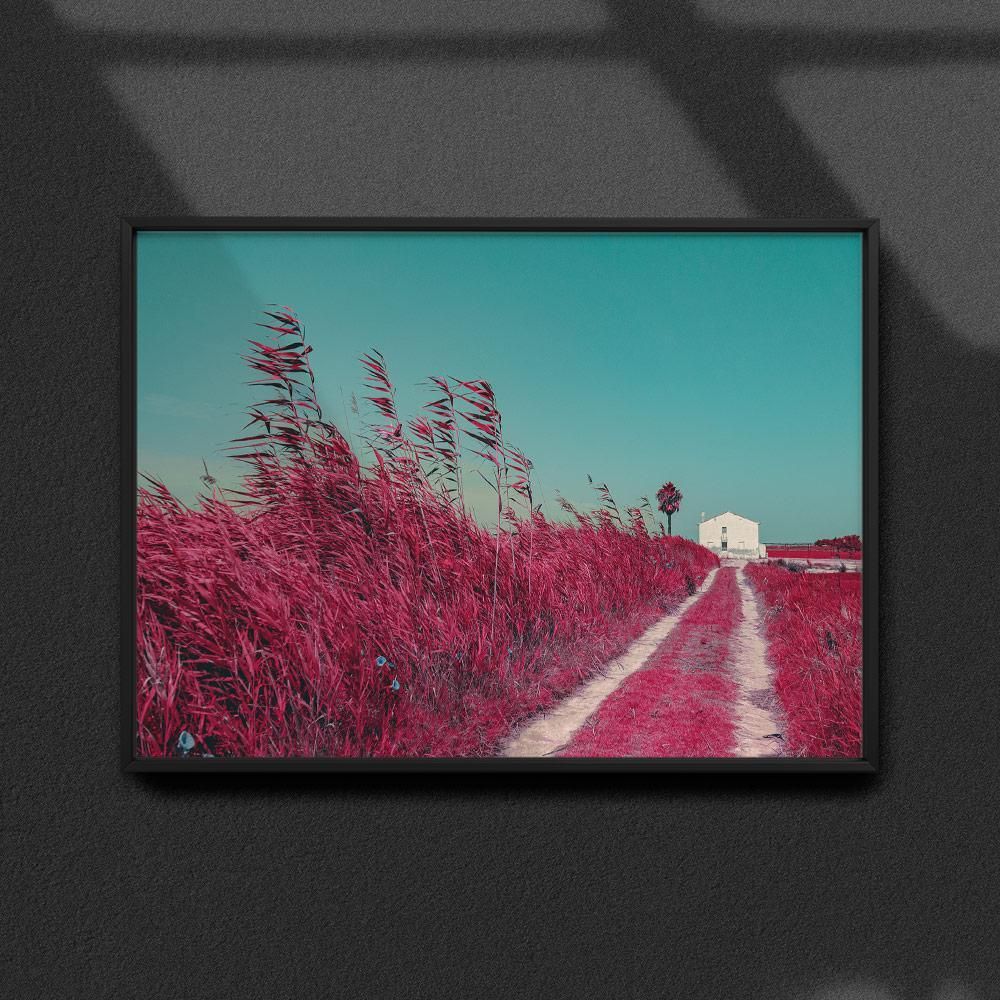 Постер "Albufera-Infrared" на Monochrome Hub Gallery от Флор Декор