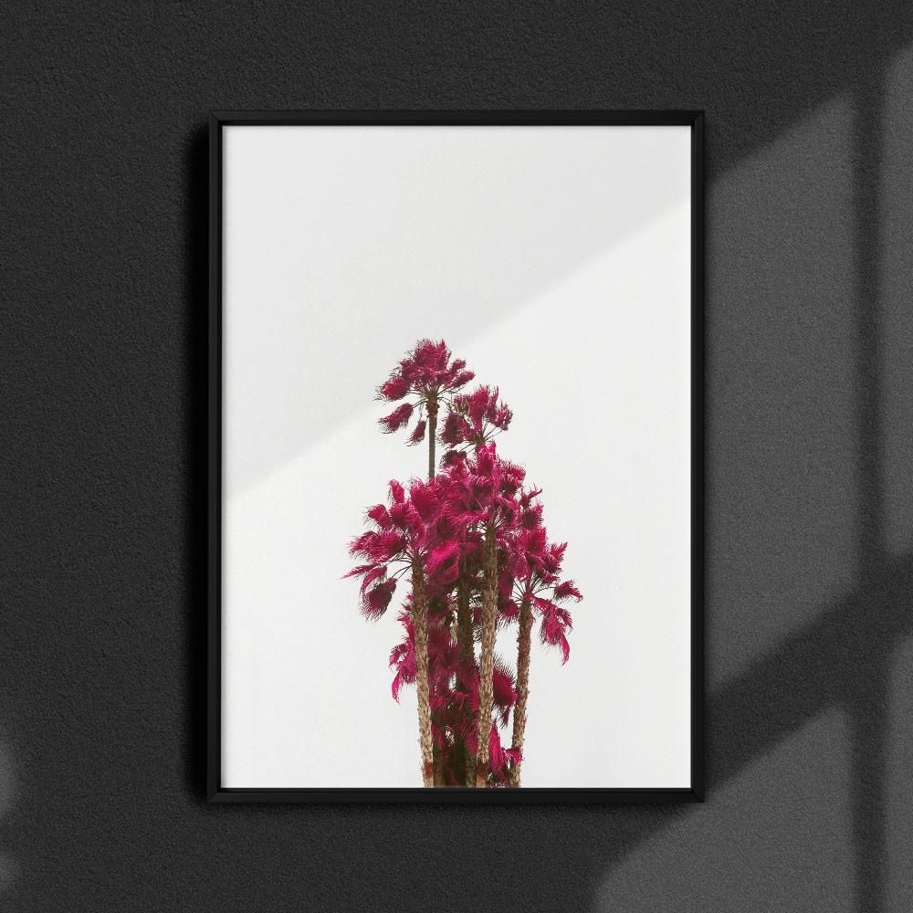 Постер "Cannes, Palmas-Infrared-I" на Monochrome Hub Gallery от Флор Декор