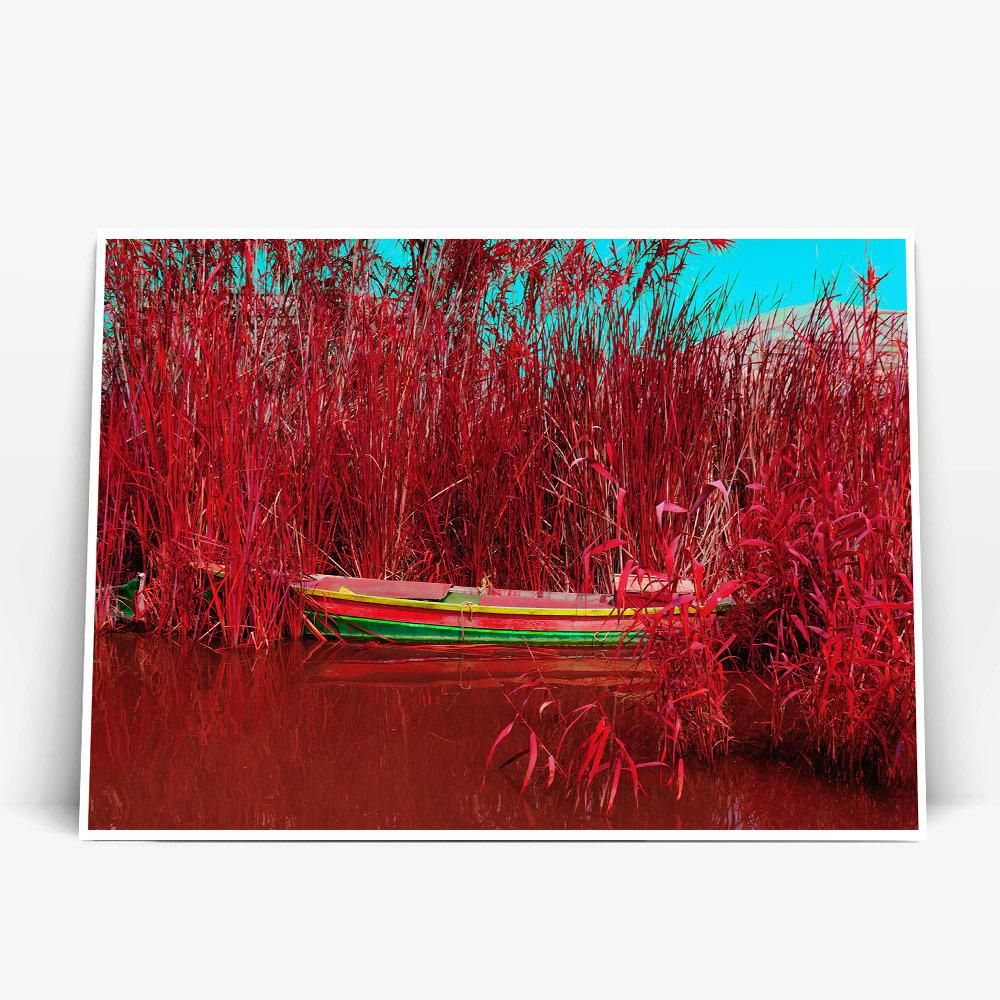 Постер "Albufera-Infrared-II" на Monochrome Hub Gallery от Флор Декор