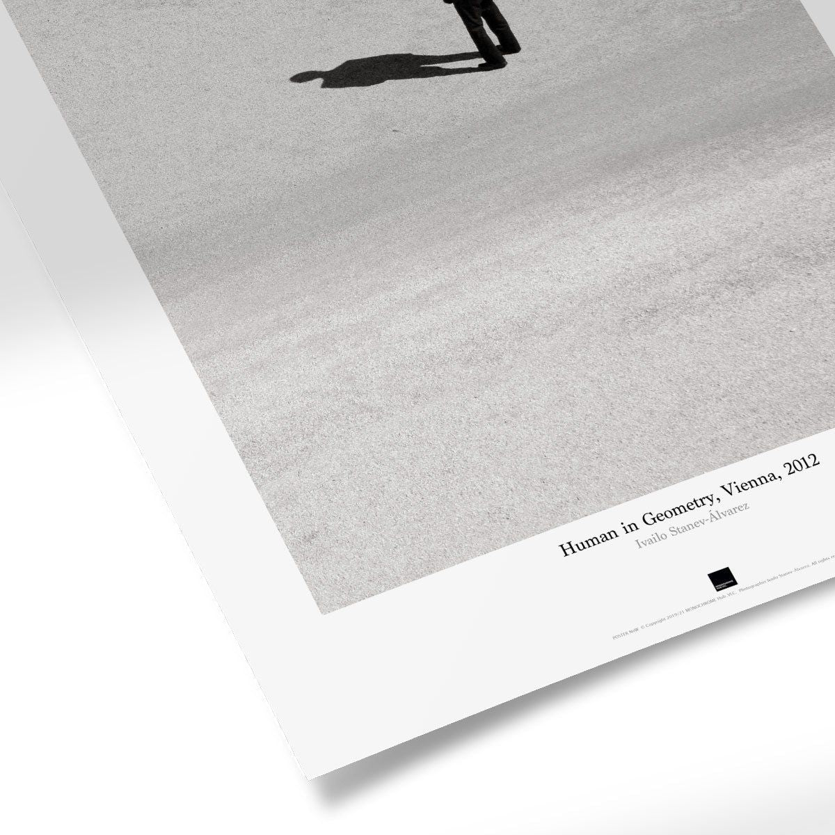 Постер "Human in geometry-Vienna" на Monochrome Hub Gallery от Флор Декор
