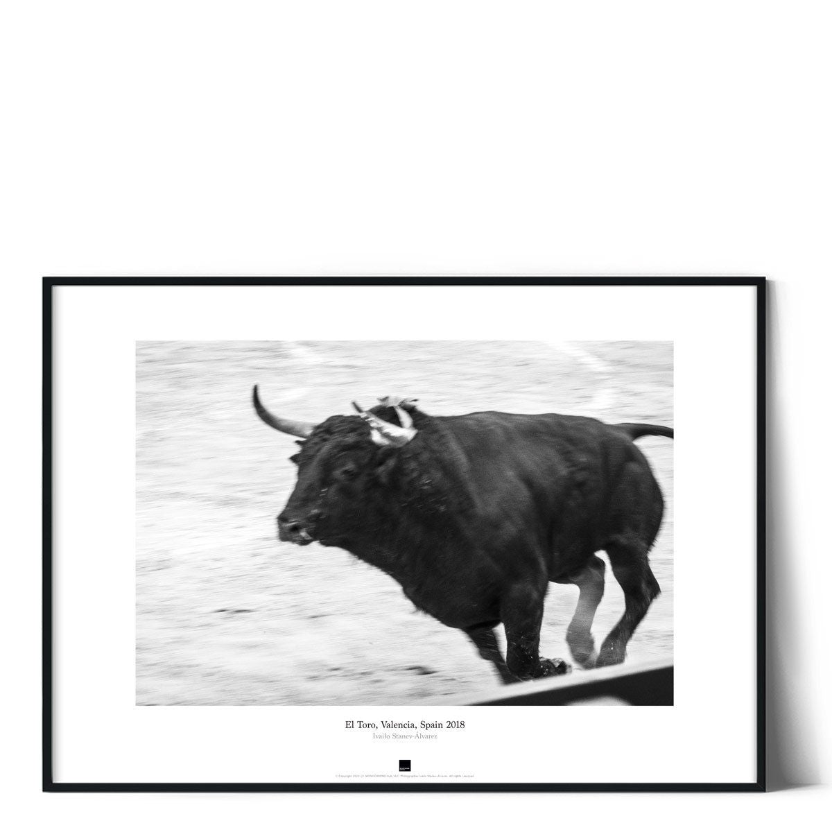 Постер "El Toro, Valencia" на Monochrome Hub Gallery от Флор Декор
