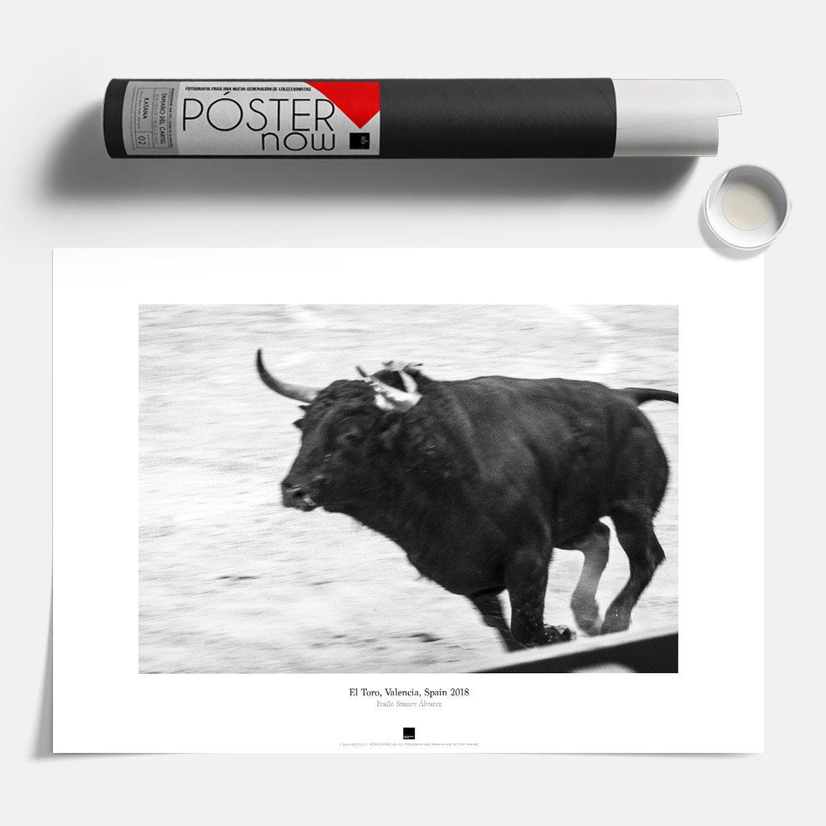 Постер "El Toro, Valencia" на Monochrome Hub Gallery от Флор Декор