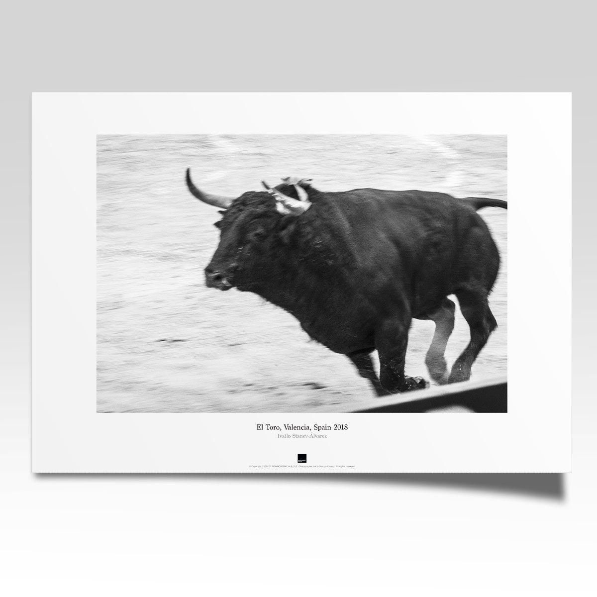 Постер "El Toro, Valencia" на Monochrome Hub Gallery от Флор Декор