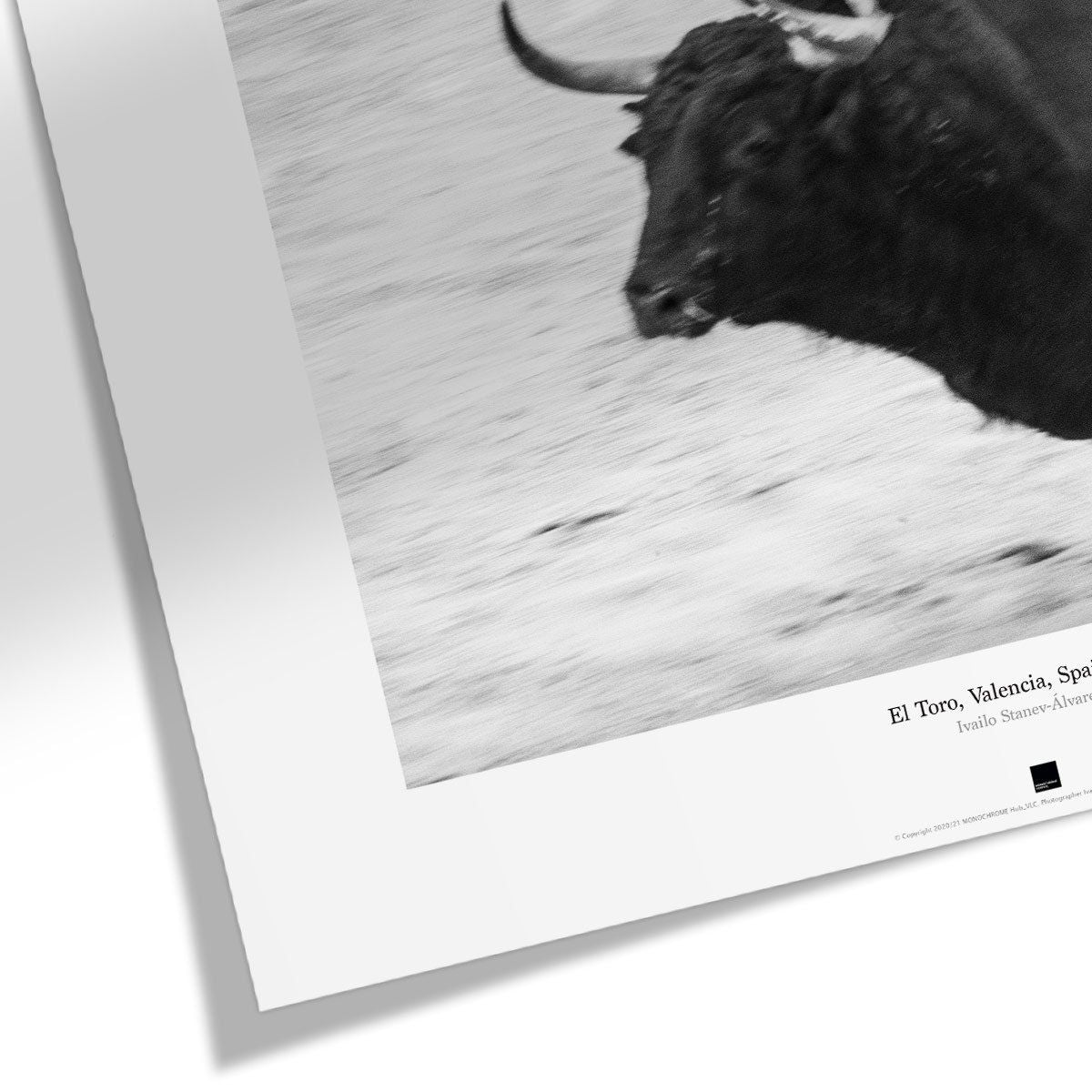 Постер "El Toro, Valencia" на Monochrome Hub Gallery от Флор Декор