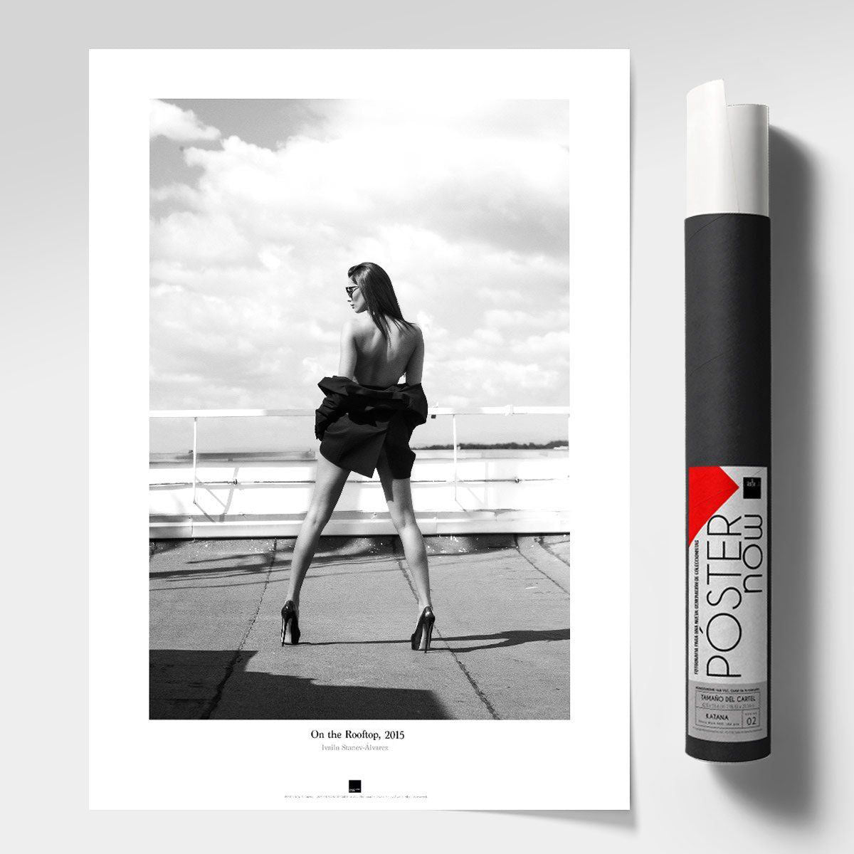 Постер "On the rooftop-I" на Monochrome Hub Gallery от Флор Декор