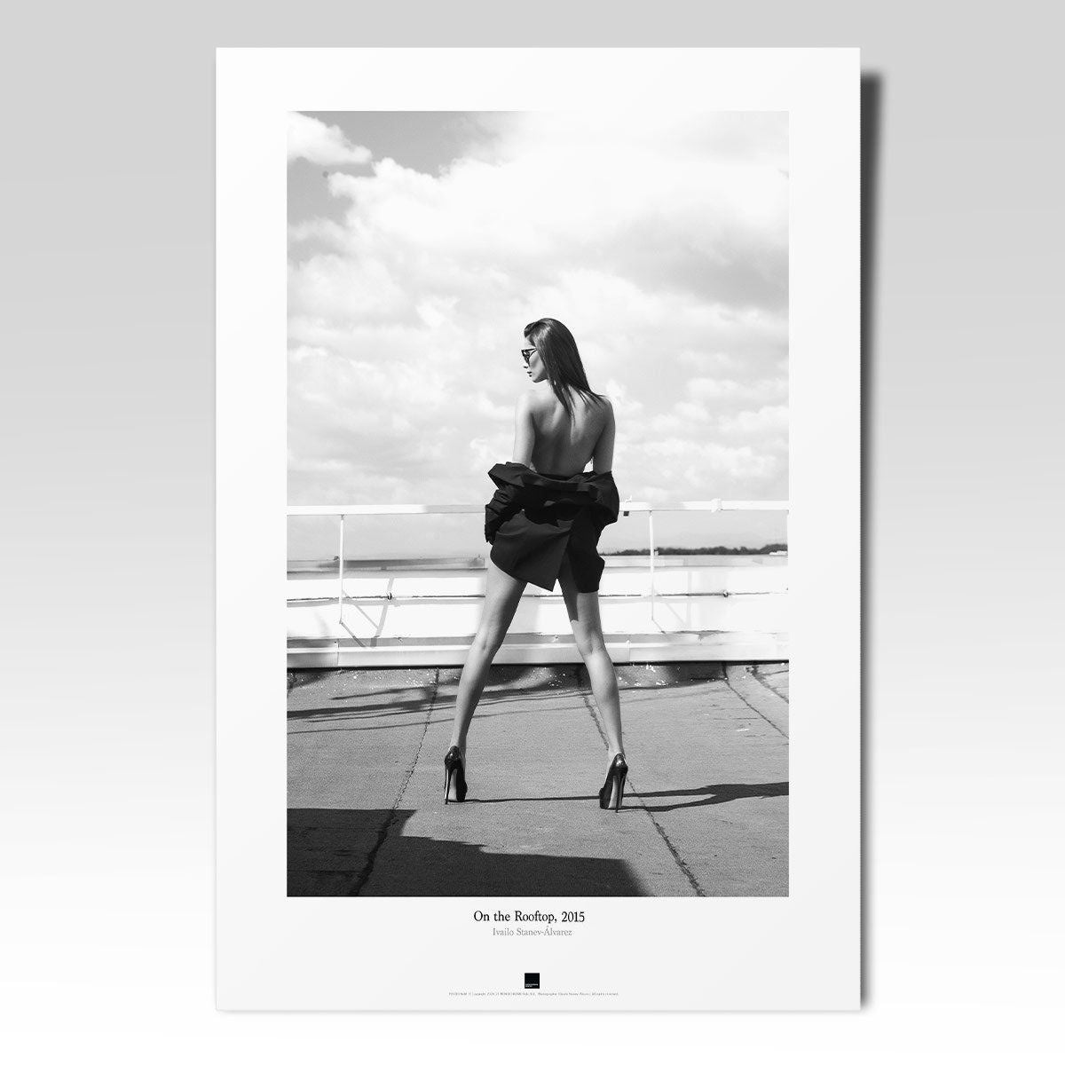 Постер "On the rooftop-I" на Monochrome Hub Gallery от Флор Декор