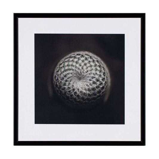 Слика 21 X 21 CACTUS III