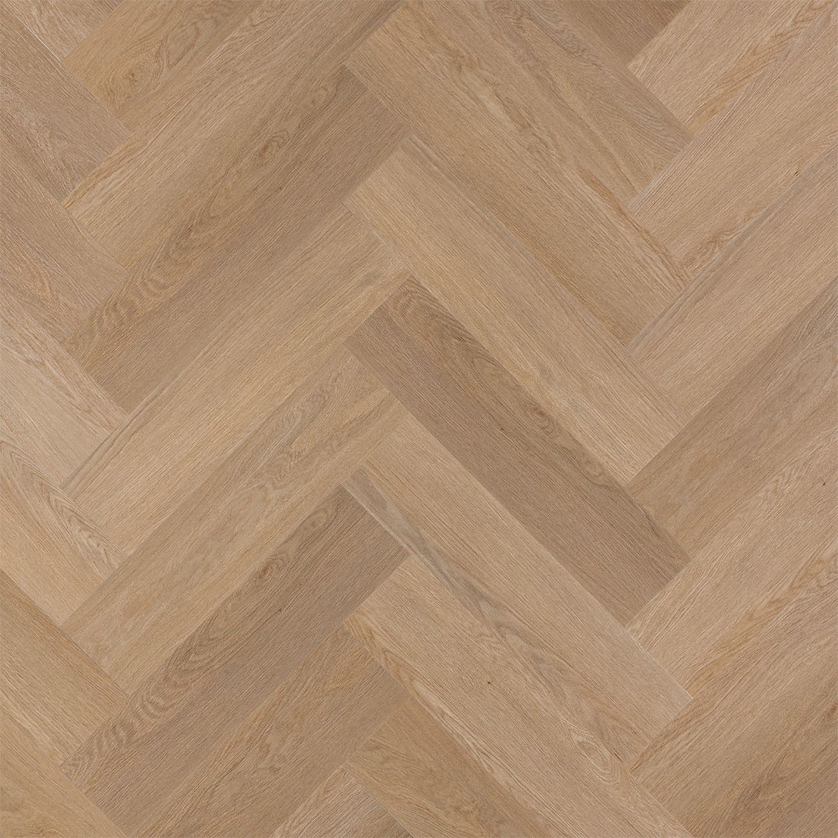 SPC VOX REGA HERRINGBONE IOWA OAK