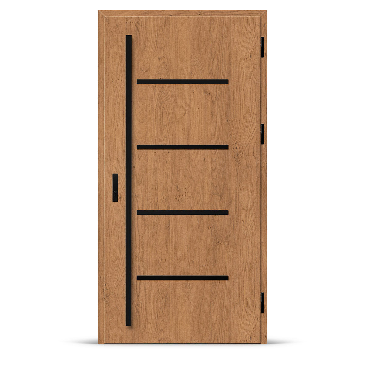 Влезна врата BIENE 3