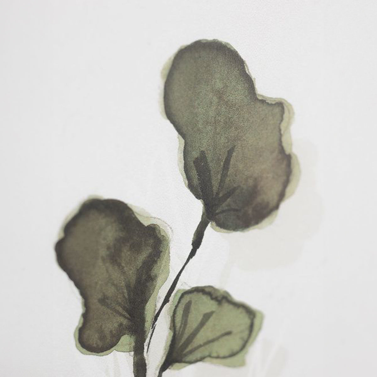Слики SEAPLANT