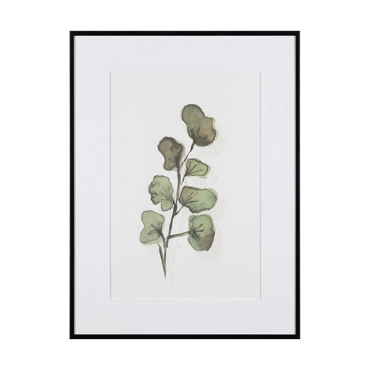 Слики SEAPLANT
