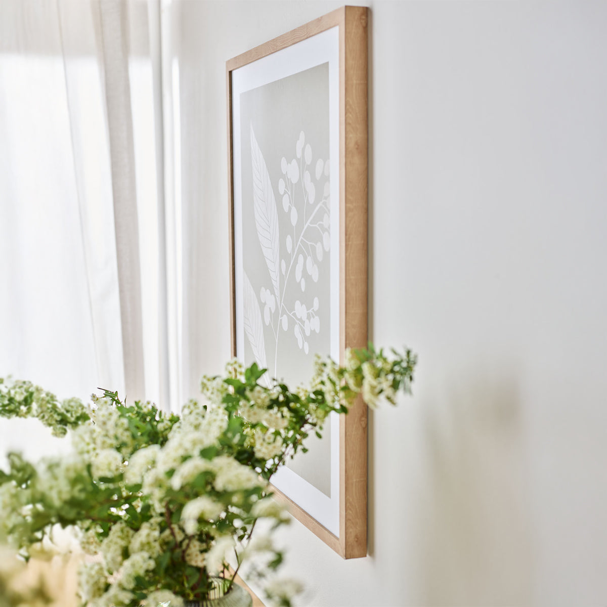 Слики FIORE