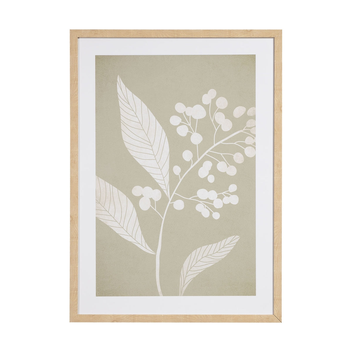 Слики FIORE