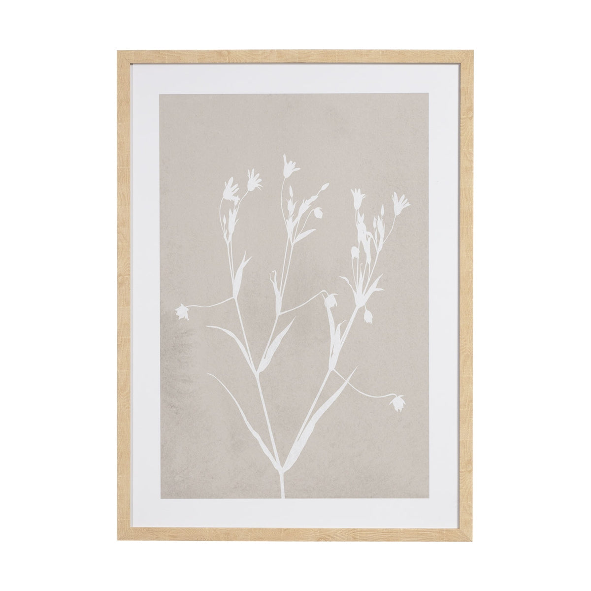 Слики FIORE